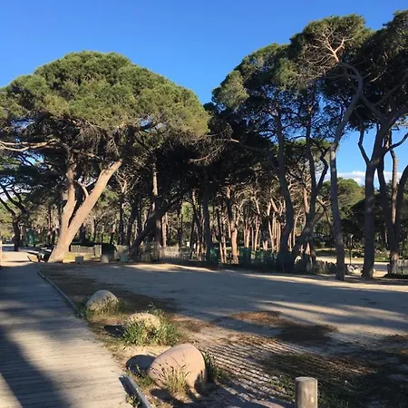 La Pinede Calvi Apartment